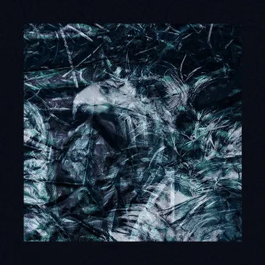 Clychau Celyn by HAAST - album cover
