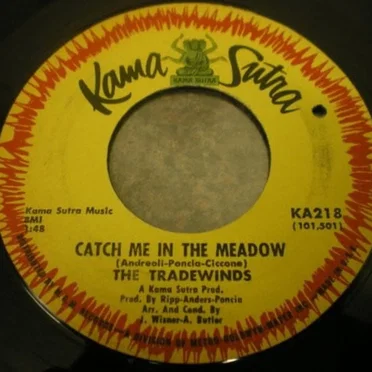 Catch Me in the Meadow