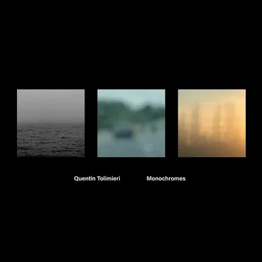 Monochromes by Quentin Tolimieri - album cover
