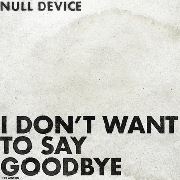 I Don't Want to Say Goodbye