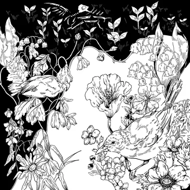 This Time Next Year by Marumaru - album cover