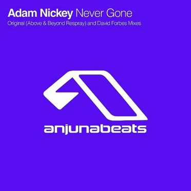 Never Gone
