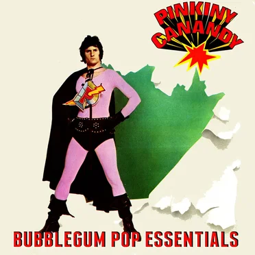 Bubblegum Pop Essentials by Pinkiny Canandy - album cover
