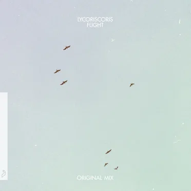 Flight