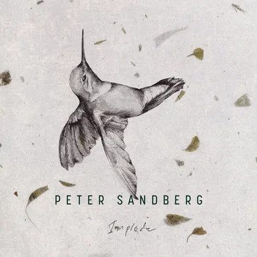 Peter Sandberg