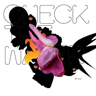 Check the Water by Various Artists - album cover