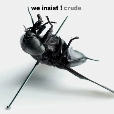 Crude by We Insist! - album cover