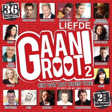 Liefde Gaan Groot, Volume 2 by Various Artists - album cover