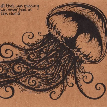 All That Was Missing We Never Had in the World by Bleeding Heart Narrative - album cover