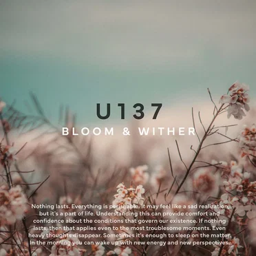 Bloom & Wither by U137 - album cover