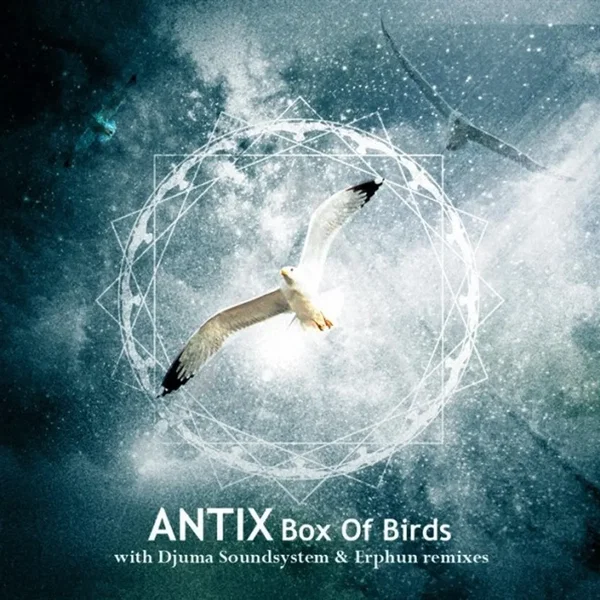 Box of Birds