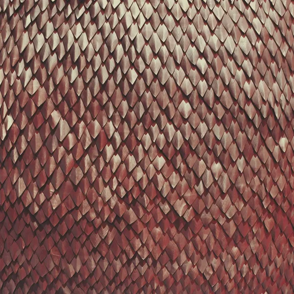 Carnelian