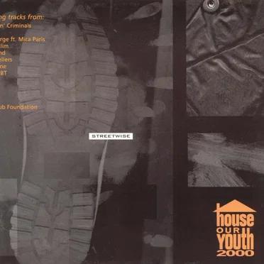 Streetwise: House Our Youth 2000 by Various Artists - album cover