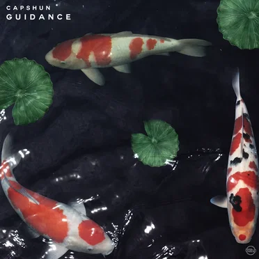 Guidance