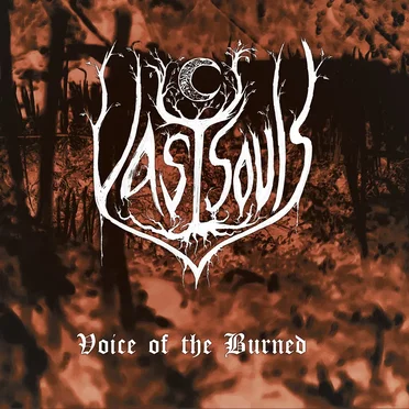 Voice of the Burned by Vast Souls - album cover