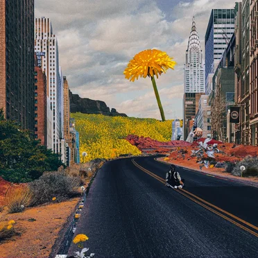 Street Flowers