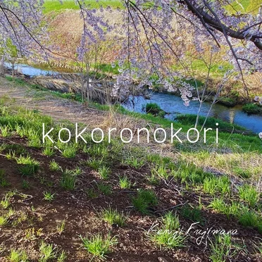 kokoronokori by Kenji Fujiwara - album cover