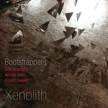 Xenolith by Bootstrappers - album cover