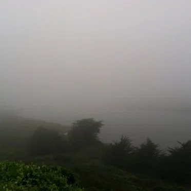 Music From The Headlands Center For The Arts, Volume Seven - Gift Of Tongues