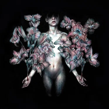 DIVISI (Instrumental) by A Lot Like Birds - album cover