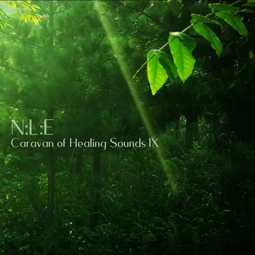 Caravan of Healing Sounds lX