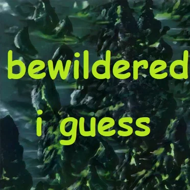 Bewildered I Guess by radeline - album cover