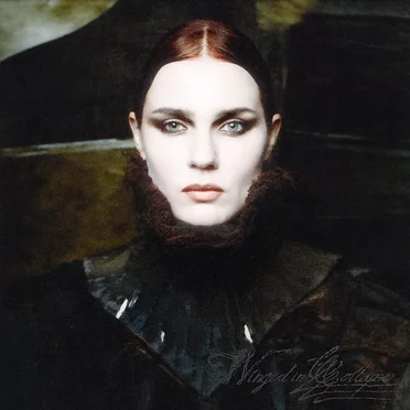 Winged in Collapse by Martyna Basta - album cover
