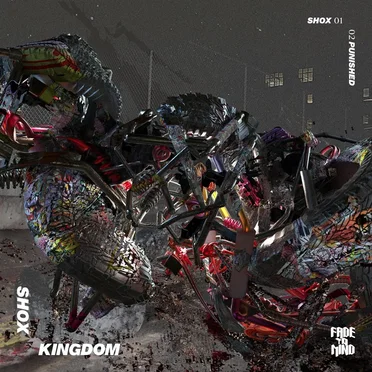 Shox / Punished by Kingdom - album cover