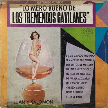 Lo mero bueno by Los Tremendos Gavilanes - album cover