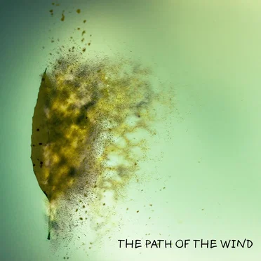 The Path of the Wind