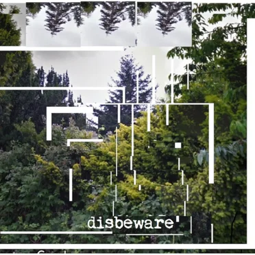 Disbeware by Disbeware - album cover