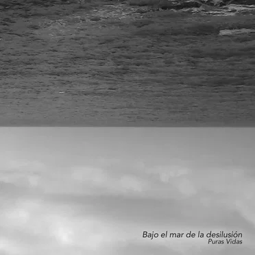 Puras vidas by Bajo el Mar de la Desilusión - album cover