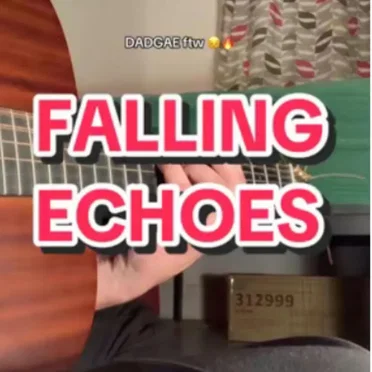 Falling Echoes by Acoustin - album cover