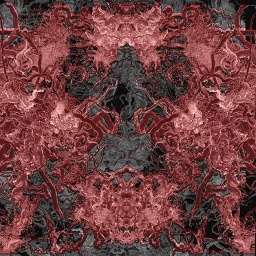 Splines 1 by Splines - album cover