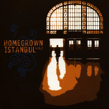 Homegrown Istanbul, Vol. 2 by Various Artists - album cover