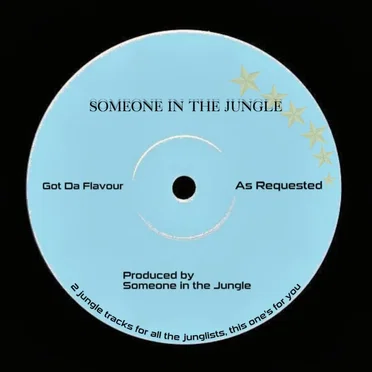Got Da Flavour / As Requested by Someone In The Jungle - album cover