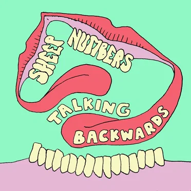 Talking Backwards by Sheep Numbers - album cover