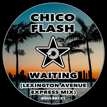 Waiting (Lexington Avenue express mix) by Chico Flash - album cover