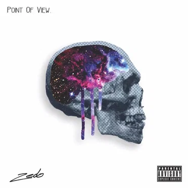 Point of View by Zedo - album cover
