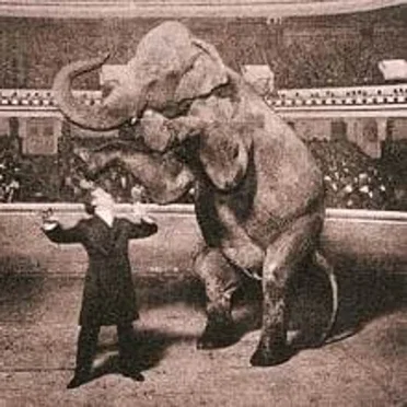 HOUDINI