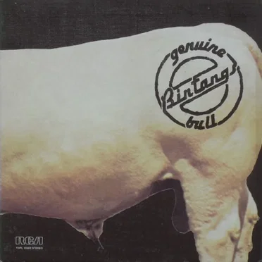 Genuine Bull by Bintangs - album cover