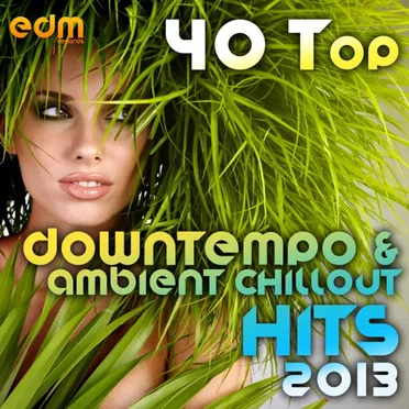 40 Top Downtempo & Ambient Chillout Hits 2013 (Best Of Psybient, Lounge, World, TripHop, Dub & Bass) by Various Artists - album cover
