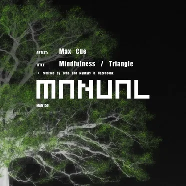 Mindfulness / Triangle by Max Cue - album cover