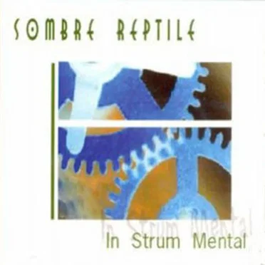 In Strum Mental by Sombre Reptile - album cover