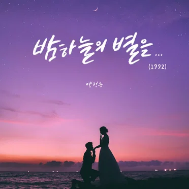 밤하늘의 별을... (1992)