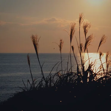 Hayama Ambient 026