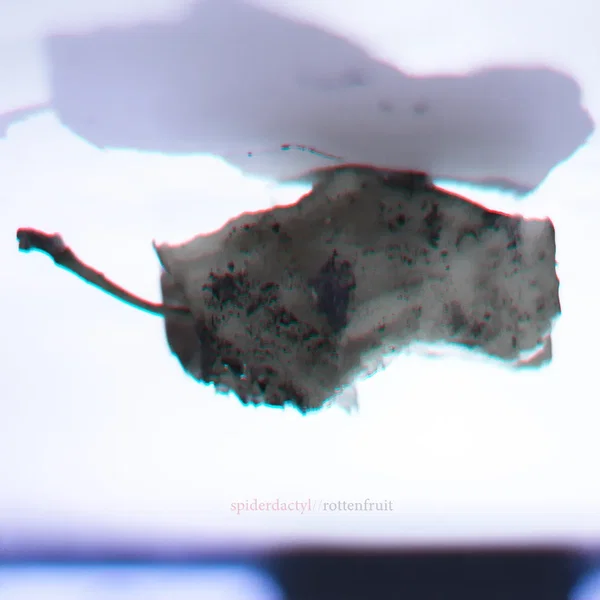 Rotten Fruit