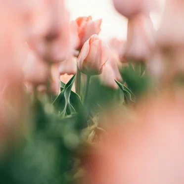 Your love melts my heart