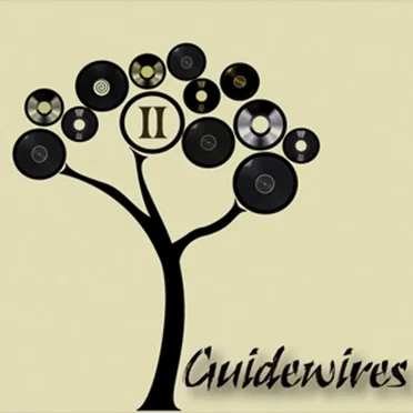 Guidewires