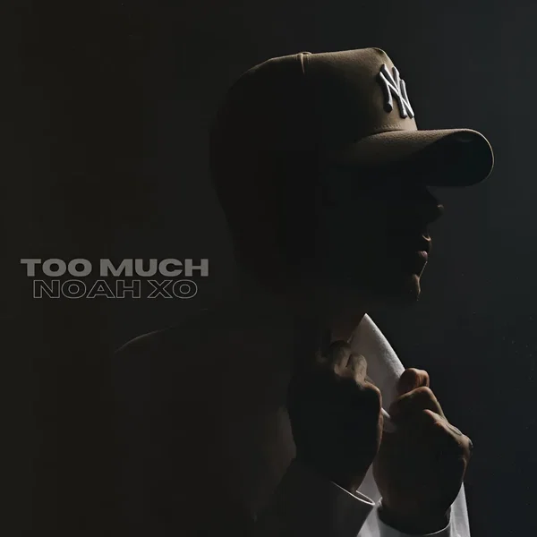 TOO MUCH